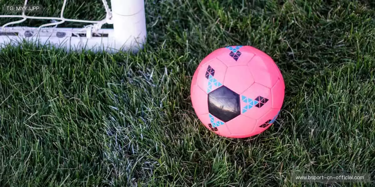 🏅巅峰对决,不容错过!🏋️